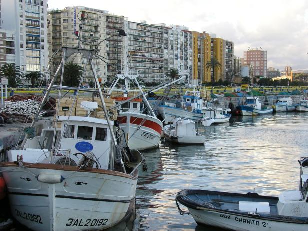 Fischerboote liegen im Hafen vor einer Wohnsiedlung.