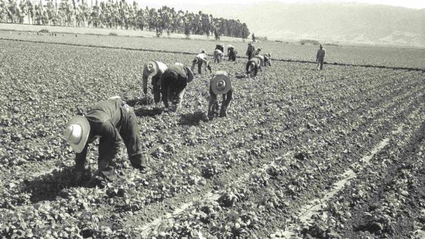 Die Profiteure der Dürre in den USA