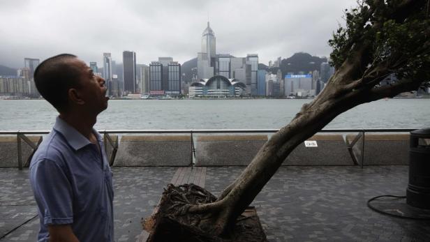 Ein Mann blickt auf die Skyline von Hongkong, im Vordergrund ein entwurzelter Baum.