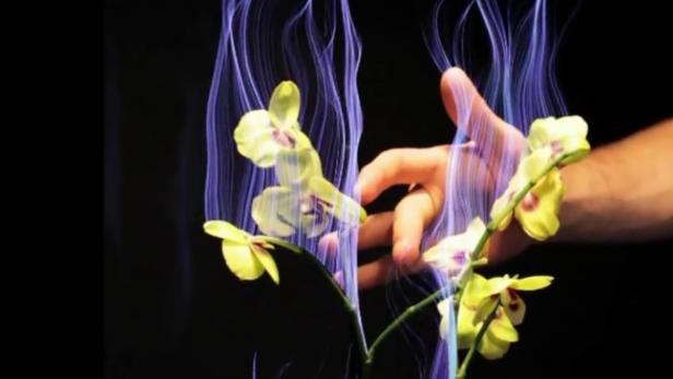 Eine Hand berührt eine gelbe Orchidee, umgeben von blauen Lichteffekten.