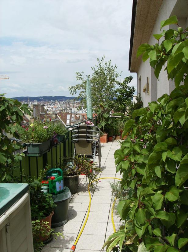 Ein bepflanzter Balkon mit Blick auf die Stadt.
