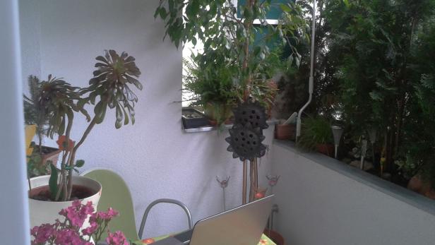 Ein Balkon mit verschiedenen Pflanzen und einem Laptop auf einem Tisch.