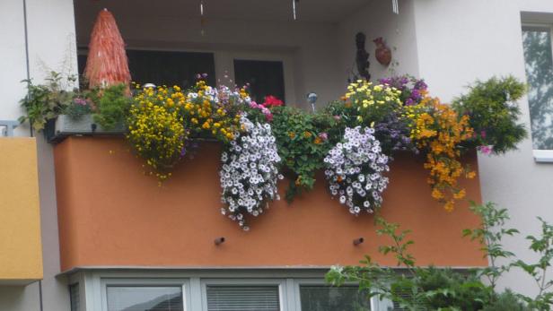 Ein Balkon mit einer Vielzahl von bunten Blumenkästen.