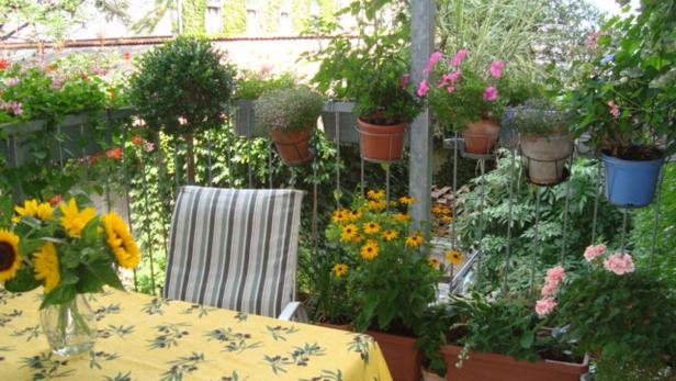 Ein blühender Balkon mit Sonnenblumen auf einem Tisch mit gelber Decke.