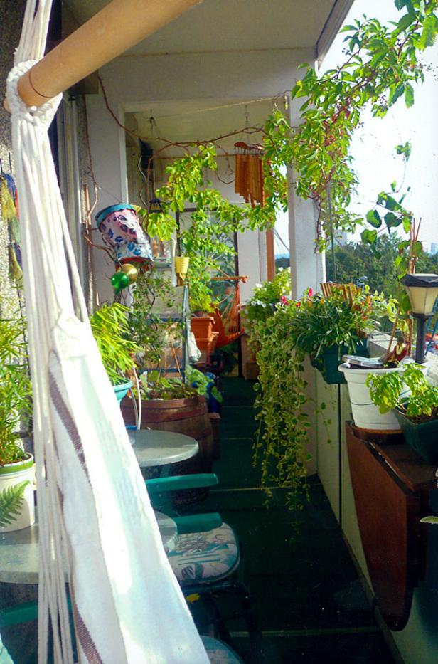 Ein üppiger Balkon mit Hängematte und vielen Pflanzen in Töpfen und Kübeln.