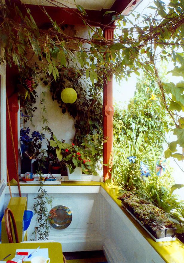Ein üppiger, grüner Balkon mit Kletterpflanzen und bunten Blumen.