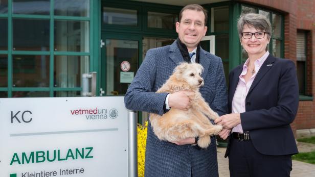 VetMed errichtet Anlaufstelle für kranke Kleintiere