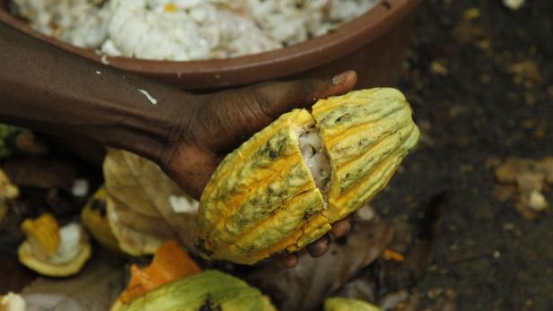 Elfenbeinküste: Leben, wo der Kakao wächst