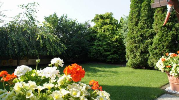 Ein gepflegter Garten mit Blumen und grünen Sträuchern.
