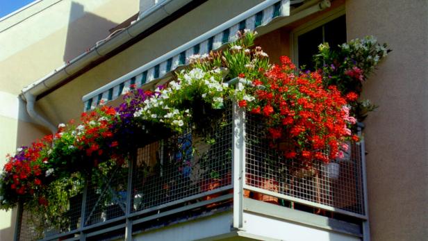 Ein Balkon ist mit bunten Blumenkästen geschmückt.