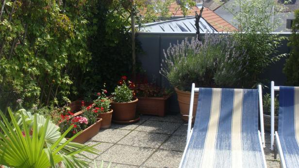 Ein sonniger Garten mit blühenden Blumen und zwei Liegestühlen.