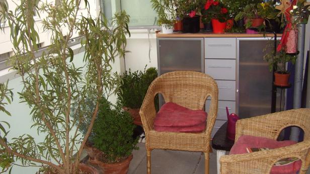 Ein mit Pflanzen und Korbstühlen dekorierter Balkon.