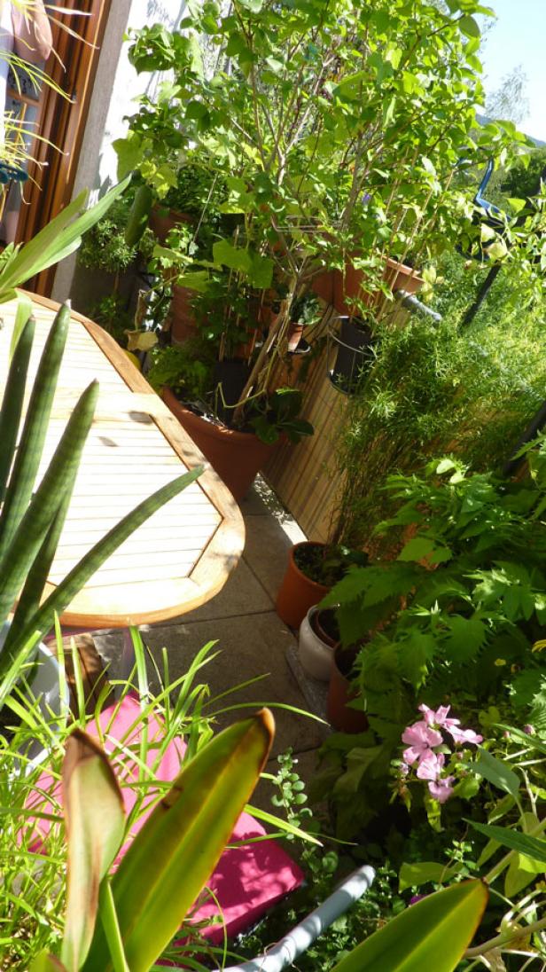 Ein üppiger Balkongarten mit verschiedenen Pflanzen und einem kleinen Tisch.