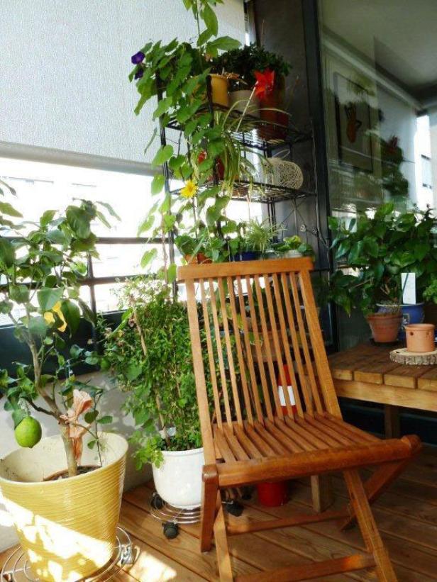 Ein Holzsessel steht auf einem Balkon, umgeben von Topfpflanzen.