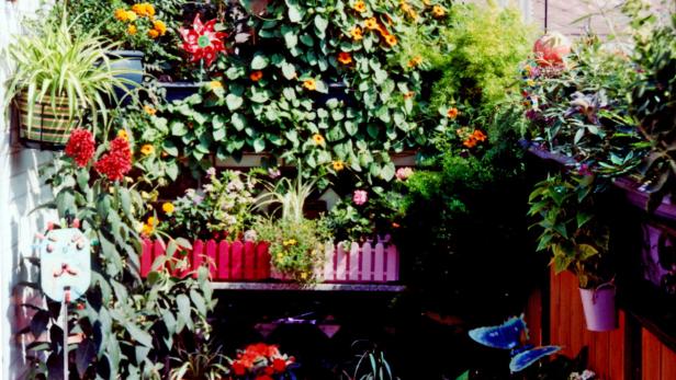 Ein üppiger Garten mit Blumenkästen und verschiedenen Pflanzen.
