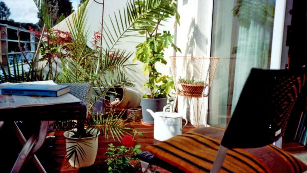 Ein sonniger Balkon mit Pflanzen, einem Buch und einer Kanne.