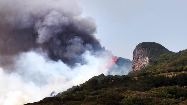 Ein Waldbrand wütet auf einem bewaldeten Hügel und erzeugt dichte Rauchwolken.