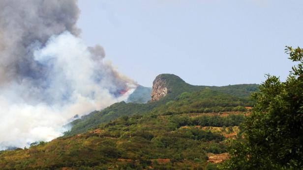 Ein Waldbrand breitet sich an einem bewaldeten Berghang aus.