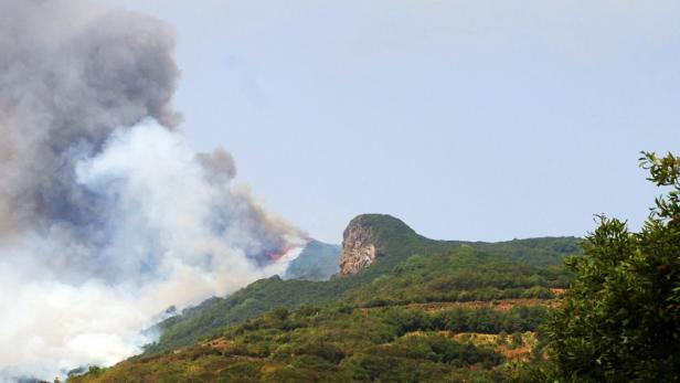 Ein Waldbrand breitet sich an einem bewaldeten Berghang aus und erzeugt dichten Rauch.