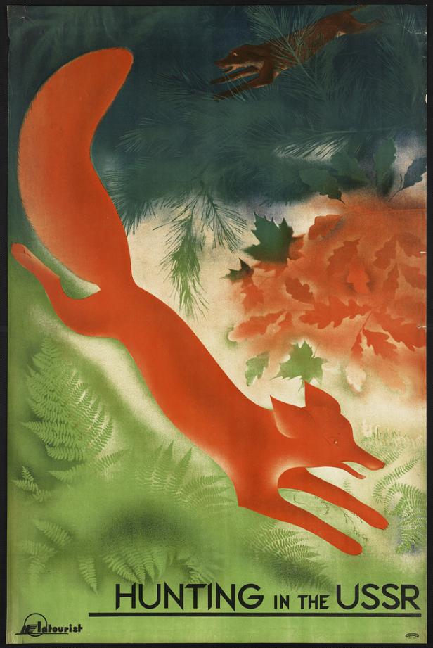 Ein roter Fuchs springt in einem Wald, während ein anderer Fuchs im Hintergrund zu sehen ist.