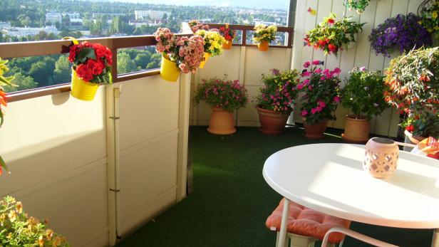 Ein blühender Balkon mit Blick auf eine grüne Landschaft.