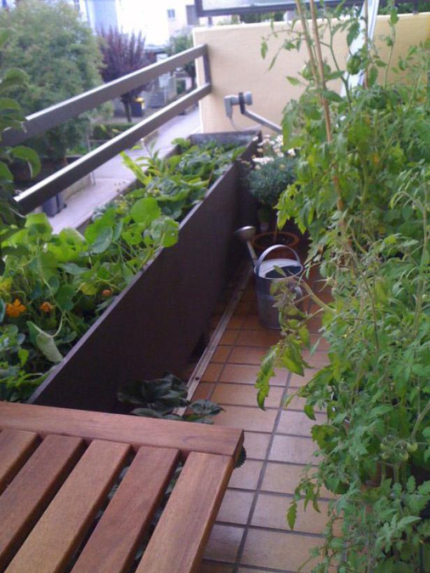 Ein bepflanzter Balkon mit Gemüse, Kräutern und Blumen in Pflanzkästen.