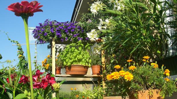 Blumenkästen mit bunten Blumen schmücken ein Fenster.