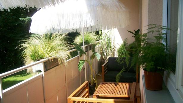 Ein sonniger Balkon mit Pflanzen, einem Tisch und einem Sonnenschirm.