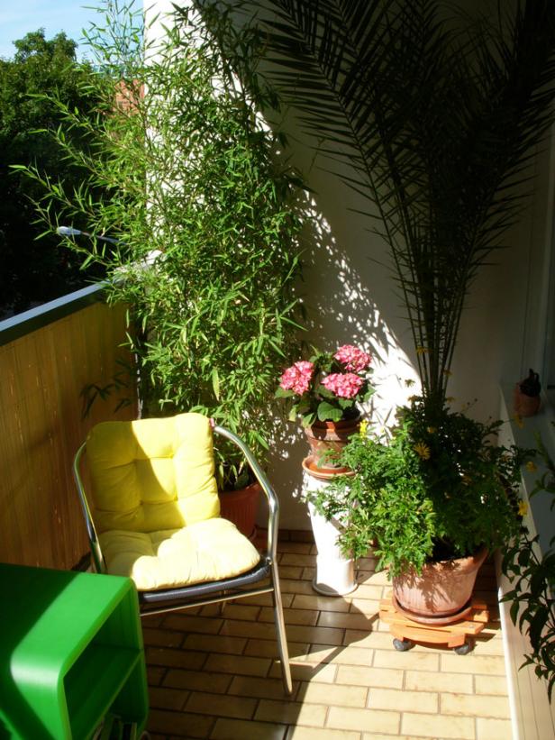 Ein sonniger Balkon mit Pflanzen, einem Stuhl und einem kleinen Tisch.