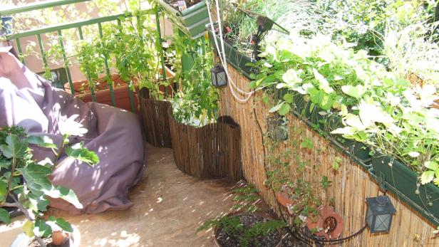 Ein bepflanzter Balkon mit Tomaten, Erdbeeren und einem Sitzsack.