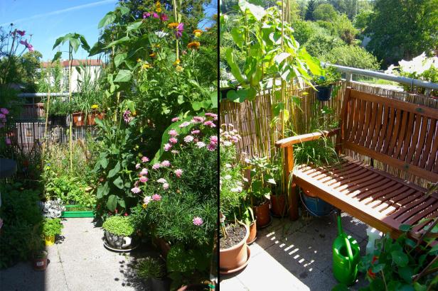 Ein üppiger Balkongarten mit Blumen, Pflanzen und einer Holzbank.