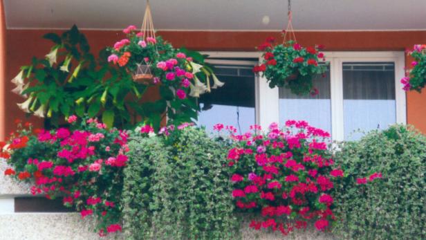Ein Balkon mit üppigen Blumenkästen und hängenden Blumentöpfen vor einem Fenster.