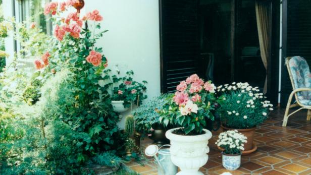 Eine Terrasse mit blühenden Blumen in Töpfen und einem Rattansessel.