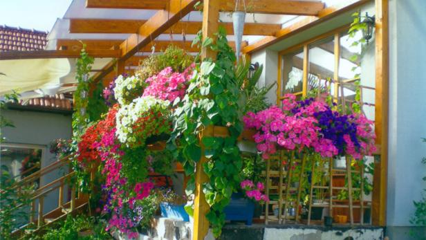 Ein Haus mit einem hölzernen Vordach, das mit bunten Blumen geschmückt ist.