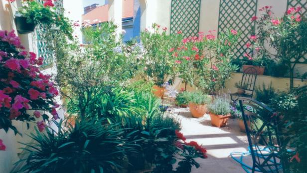 Ein üppiger, blühender Garten mit Topfpflanzen und Gartenmöbeln.