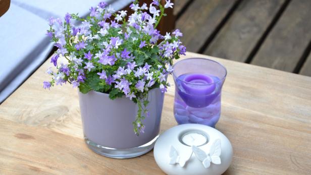 Ein Topf mit lila Glockenblumen steht neben einer Kerze auf einem Holztisch.