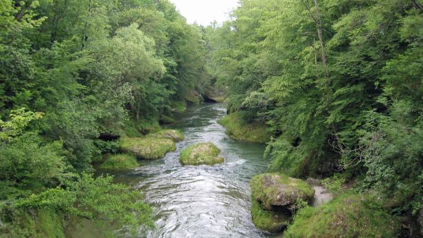 Sommerfrische: Wer wird der Sieger?