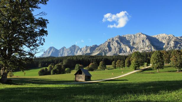 Sommerfrische: Wer wird der Sieger?