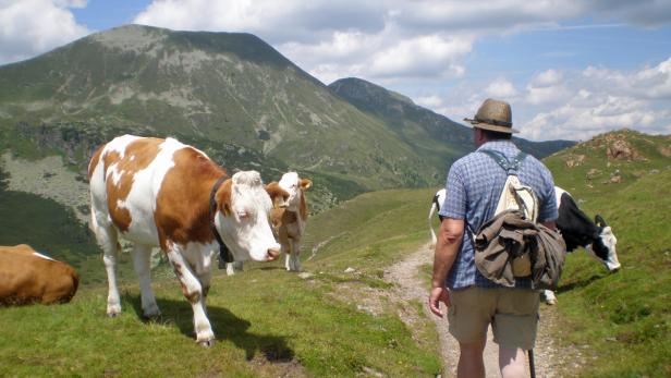 Sommerfrische: Wer wird der Sieger?