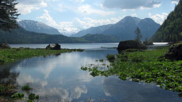 Sommerfrische: Finalisten stehen fest