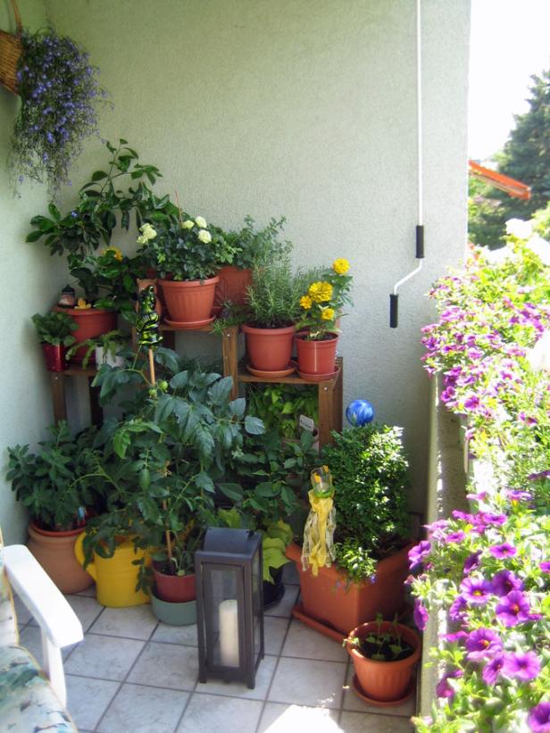 Ein Balkon mit vielen Topfpflanzen, darunter Blumen und Kräuter.