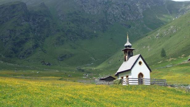 Sommerfrische: Wer wird der Sieger?