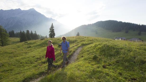 Sommerfrische: Wer wird der Sieger?