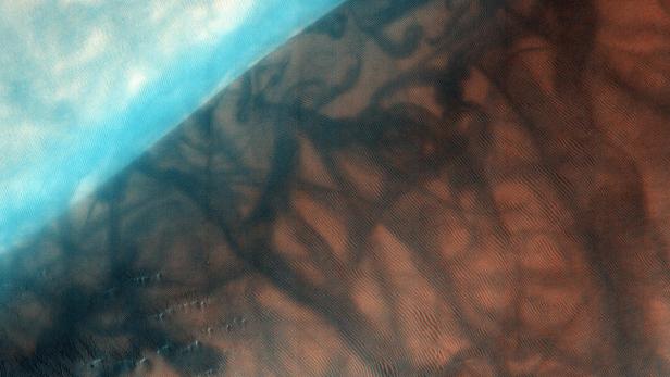 Eine blau-braune Oberfläche mit feinen Rillen und dunklen Flecken.