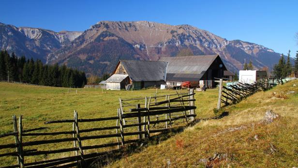 Sommerfrische: Wer wird der Sieger?