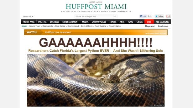 Riesiger Python in Florida gefangen