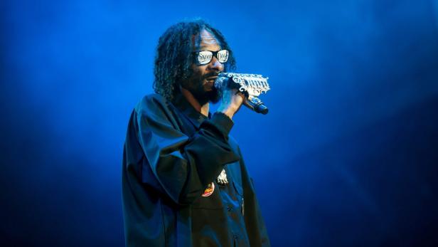 Sziget 2012: Das "bessere" Donauinselfest