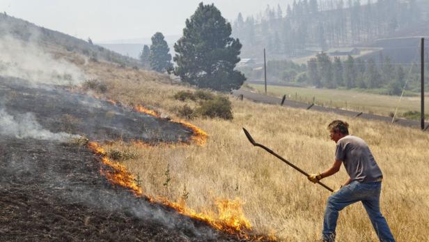 Ein Mann versucht mit einem Werkzeug ein Grasfeuer auf einem Hügel zu kontrollieren.