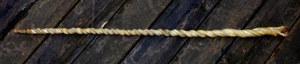 Ein gedrehtes Narwalhorn liegt auf dunklen Holzplanken.