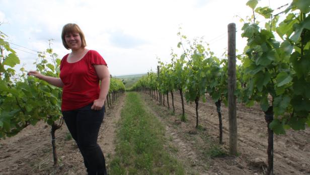 Zeit für einen wirklich guten Rosé